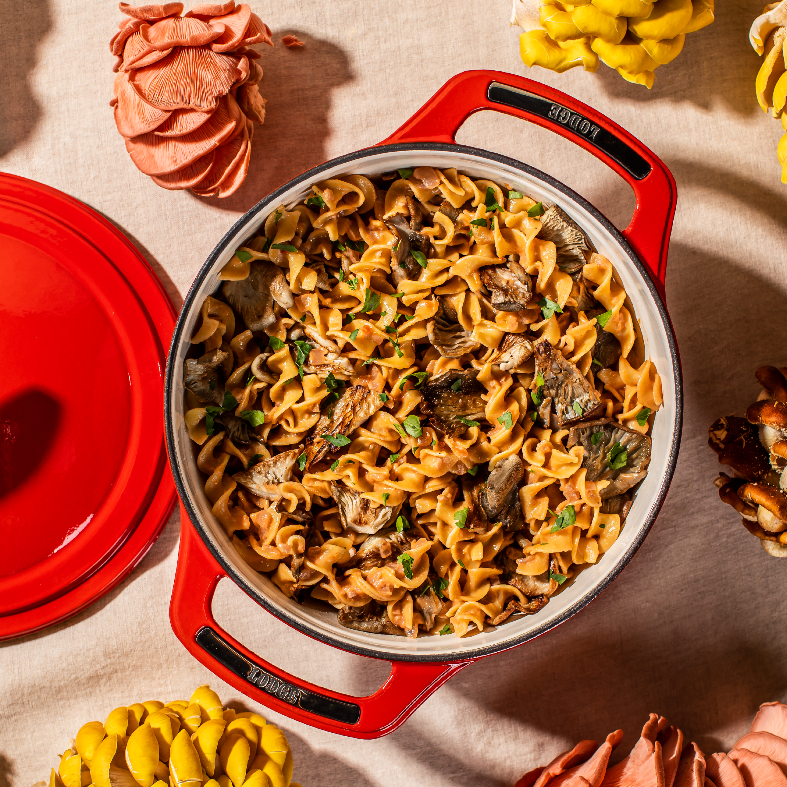 Lodge USA Enamel™ Cast Iron Dutch Oven - Image 81