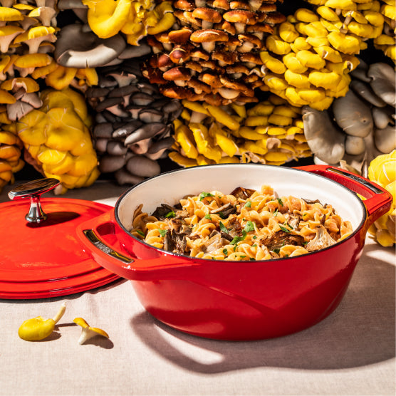 Lodge USA Enamel™ Cast Iron Dutch Oven - Image 15